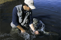 005.1_pesca.jpg